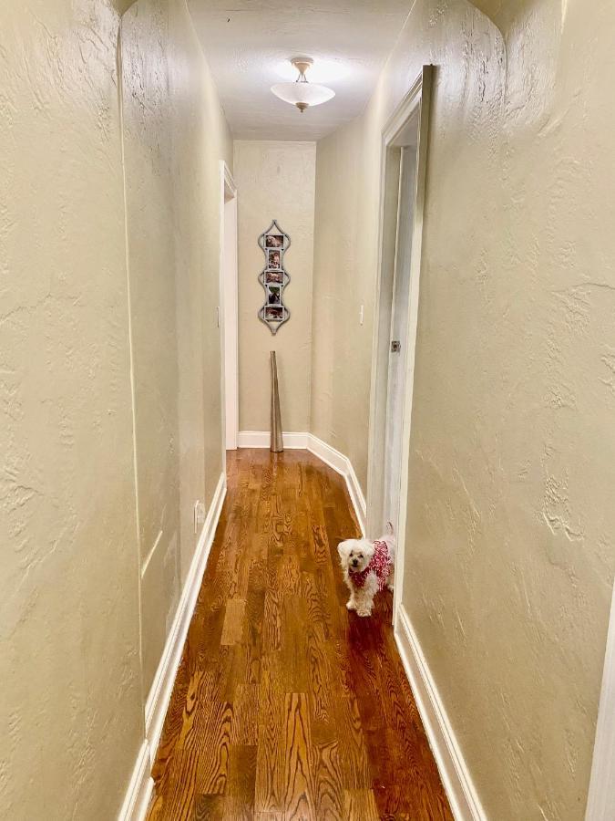 Casa Brasil B&B Hollywood Luaran gambar